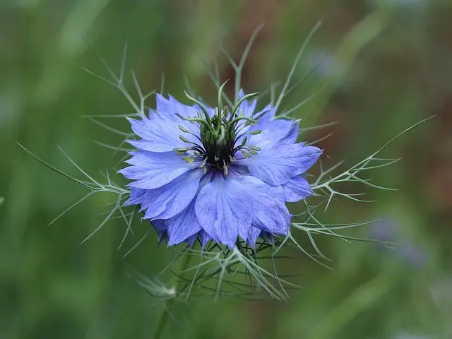 7 Astuces Pour Stimuler Votre Inspiration Artistique Naturelle